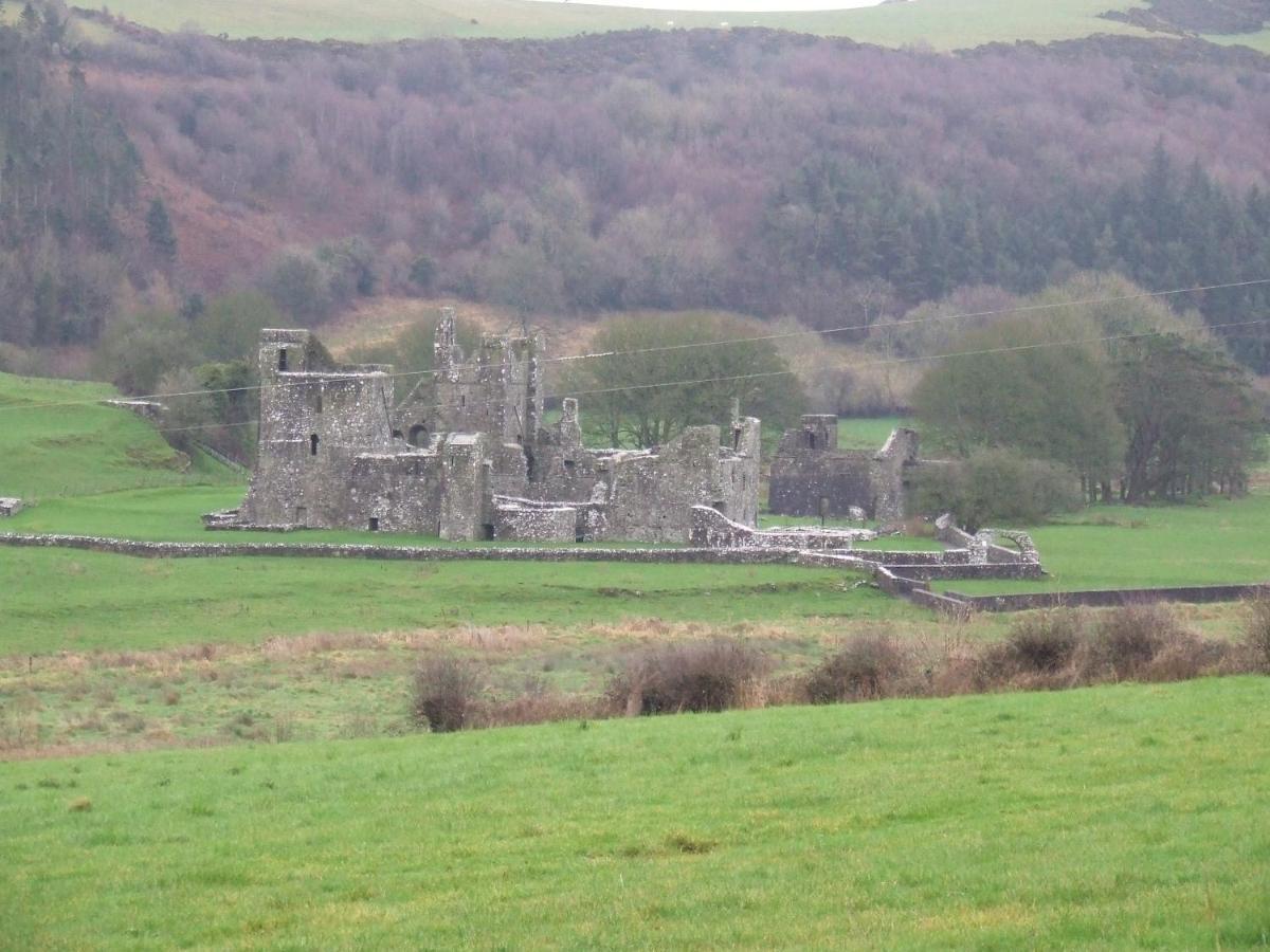 Mullaghmeen Forest Mullingar Zewnętrze zdjęcie